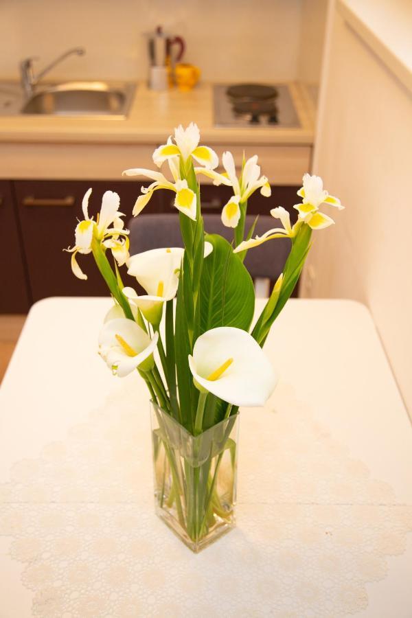 Tonica Apartments 노바야 외부 사진